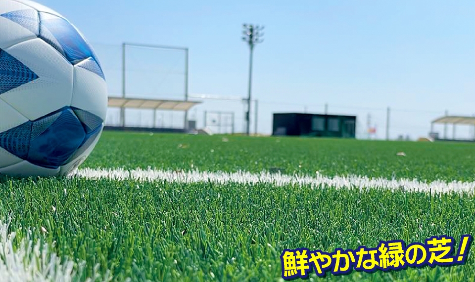 鮮やかな緑の芝！